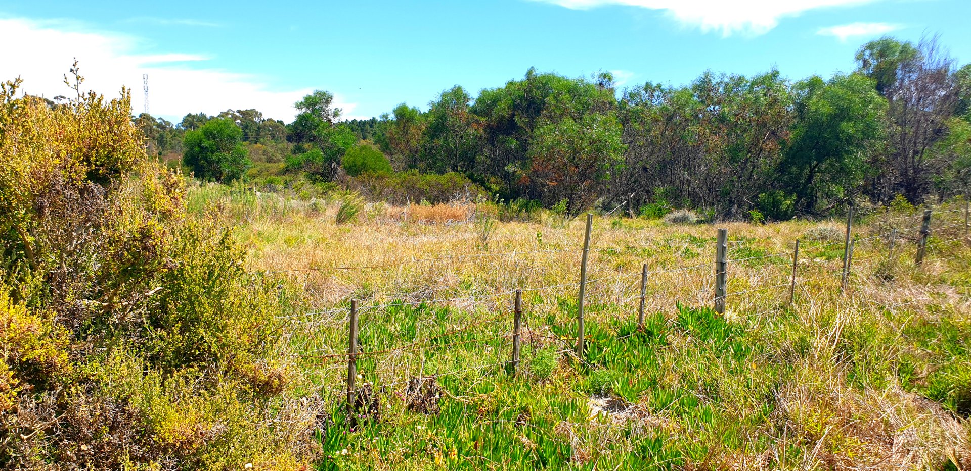  Bedroom Property for Sale in Albertinia Western Cape